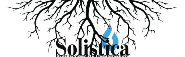 Solistica demovooru tähtaeg läheneb