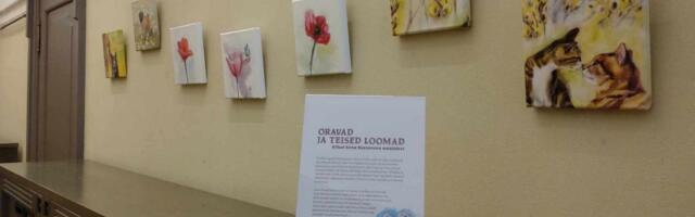 Raekoja infokeskuses avati Tartus elava Ukraina kunstniku näitus