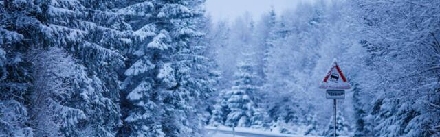 Transpordiamet hoiatab hilisõhtul algava lumesaju eest - teeolud muutuvad väga keeruliseks