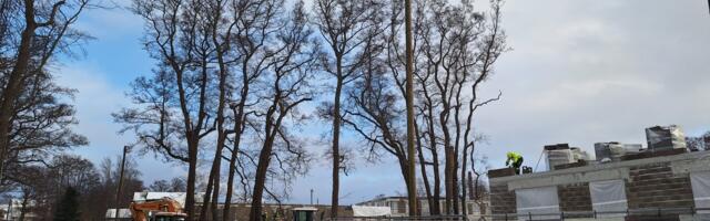 GALERII: Haabneeme ranna lähistele kerkivad kortermajad