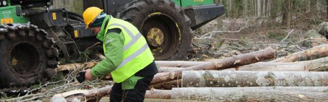 Metsavarumise tulemused langesid tuntavalt