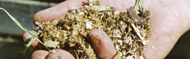 MAJANDUSE PÄÄSTERÕNGAS | Kas jääme jälle rongist maha? Uue tulevikutehnoloogia kasutuselevõtuga on kiire