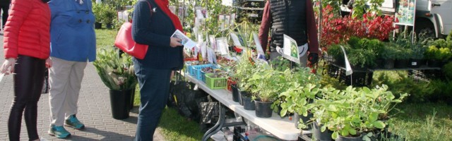 PILDIGALERII Jõhvi kesklinnas oli Mihklilaat