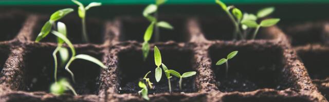 Riigikantselei avas uue avaliku sektori innofondi taotlusvooru