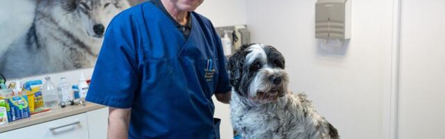 Raske diagnoosi saanud tuntud loomaarst_ kui vahiksin kodus lage, siis jookseks kõik allamäge