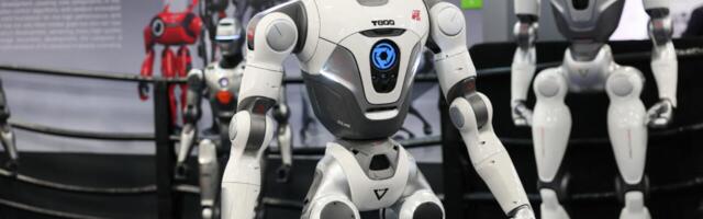 Tehisaru kasutav rahvasaadik on julgeolekurisk