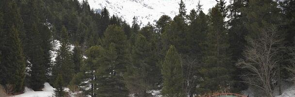 Ema pani oma 16.a tütre külmaga õue magama, kuna ta mõnitas kodutud.