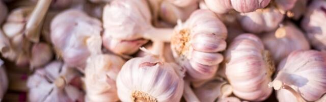 Kui Sa sööd hommikuti tühja kõhuga küüslauku ja mett, siis juhtub Sinu kehaga SEE