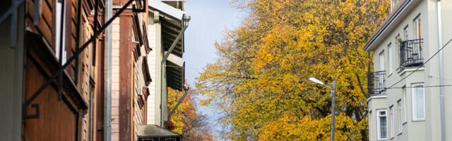 Alanud nädalal on ilm niiske ja soe