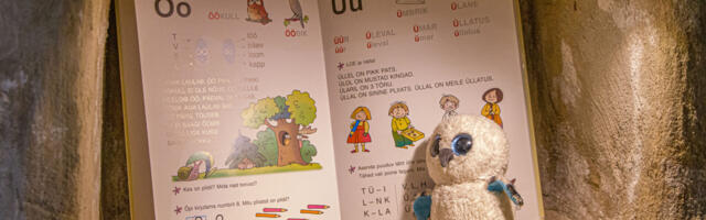 Gümnasistid panid lapsepõlve näitusele