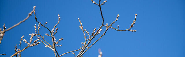 Teisipäeval on ilm päikseline