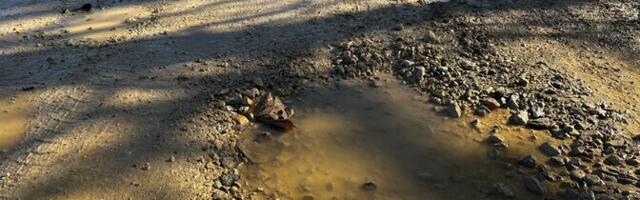 Külma talve tõttu on kruusateed tänavu auklikumad