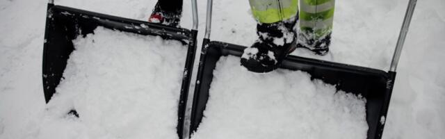 Nädalaga veeti Tallinnast välja 91 122 kuupmeetrit lund