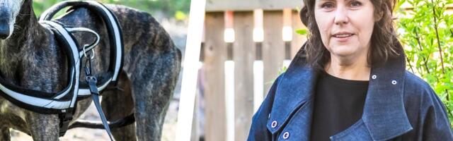 Hispaanias jõhkrused üle elanud koer leidis uue kodu disainer Eve Hansoni juures_ Athos võtab kohe õuelt jänese jälje üles