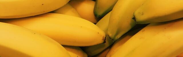 EKSPERT HOIATAB ⟩ Banaanid võivad Venemaa kauplustest kaduda
