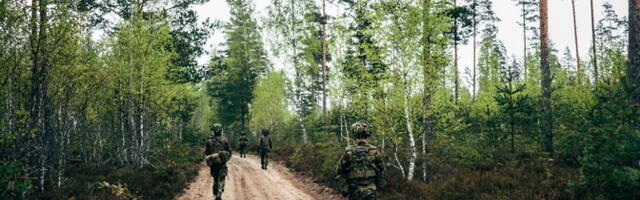 Algaval Kevadtormil osaleb ligi 14 000 Eesti ja liitlaste sõdurit