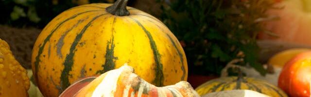 Mahetoitlustamise kogemuslugu Antsla Gümnaasiumi näitel