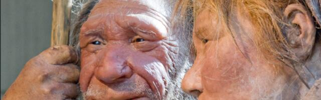 Neandertaallase suudlused elavad nüüdisinimeses edasi