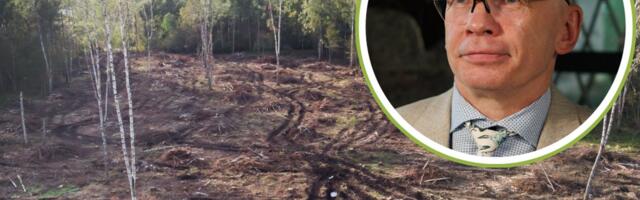 Allar Jõks: looduskaitsel ei ole ülimuslikku seisundit inimeste hakkamasaamise ees