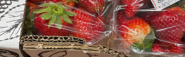 PÄEVA NÄMM: maasikad Hispaanias hea hinnaga