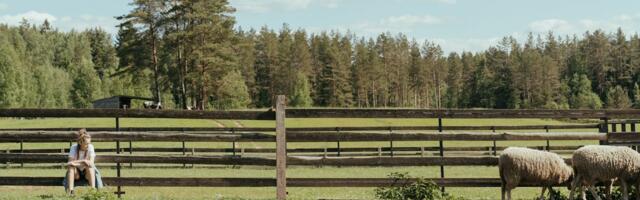 Ohtlik väikemäletsejate haigus võib jõuda ka Eestisse
