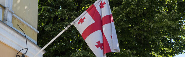 Цахкна: народ Грузии должен иметь право голосовать свободно и честно