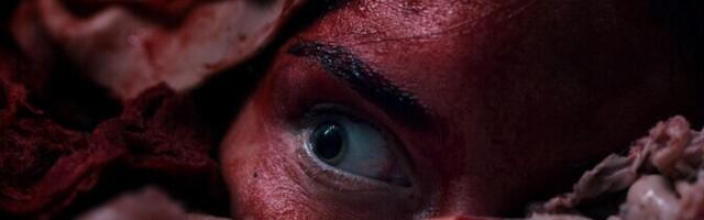 HÕFF avalikustas esimesed filmid tänavusest programmist