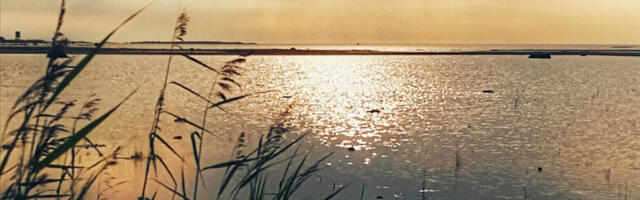 Soomes purunes selle aasta soojarekord – +12,6 kraadi