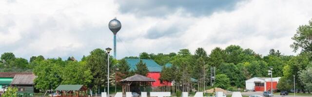 INĐIJA UVELA BESPLATAN PREVOZ ZA SVE GRAĐANE! Stigli novi autobusi! Specijalni minibusevi voze meštane Beške i Čortanovaca direktno do brze pruge! Evo kada je prvi polazak! (FOTO)