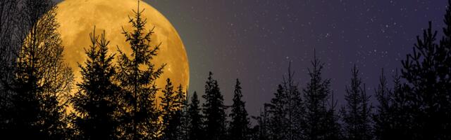 Juulikuu noorkuu ja täiskuu toovad nendele tähemärkidele uut jõudu, selgust ja muutusi