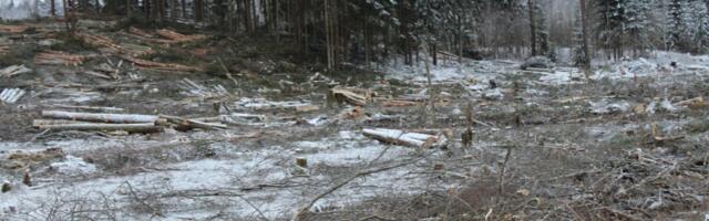 Riigikogu infotunnis käsitleti järgmise aastakümne raiemahte