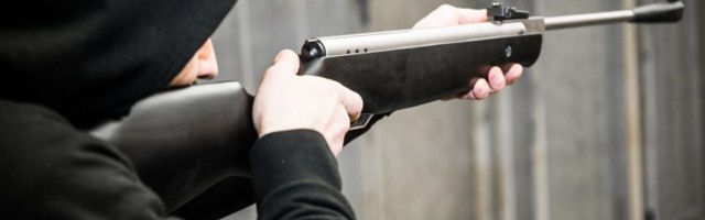 Paldiski maanteel autoga sõitnud mees laskis õhupüssist tee ääres olevate põõsaste pihta