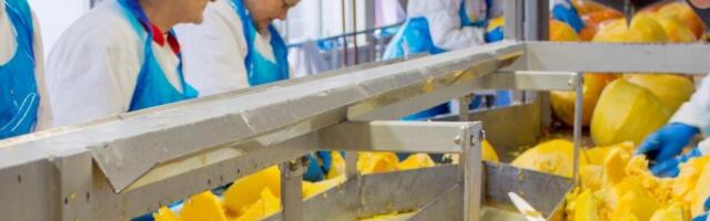 Orkla Põltsamaa tehas paneb tänavu purki 3500 tonni kodumaist köögivilja