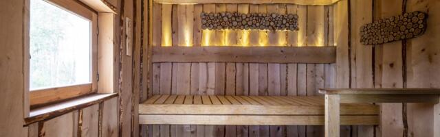 SAHINAD | Minister otsib pealinna korterit, soovitatavalt saunaga