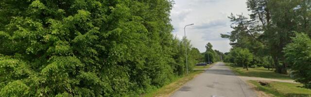 Kaks maatükki on oksjonil