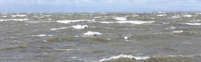 Läti politsei_ kahtlustatud laev ei ole seotud merekaabli kahjustamisega Liepāja lähedal