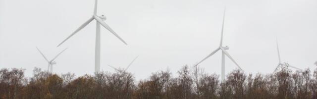 Sõnajalgade tuulepark emiteerib 150 miljoni euro eest võlakirju