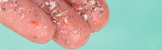 Mihkel Kangur: ohtlikum kui kliimamuutus – plastireostus