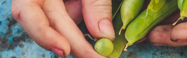 Herneviskamise maailmameister saavutas üleloomulikud 44 meetrit: lähen kindlasti uut rekordit püüdma!