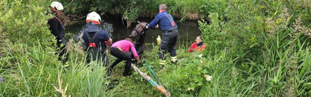 Järvamaal päästeti vette kukkunud ratsahobune