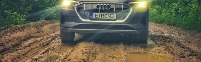 Uuring: Kasutatud autode seas on popid Audi, Volkswagen ja BMW