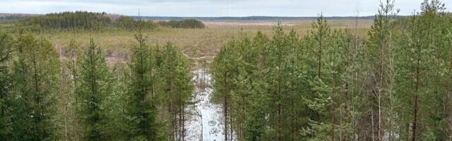 RMK plaanib likvideerida Meenikunno soo kuivenduskraavid