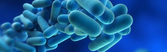 Teadlased on arendamas kaitset kõikide viiruste eest