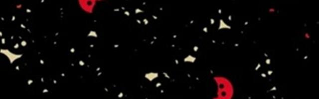 Noorusest ja muust häbiväärsest