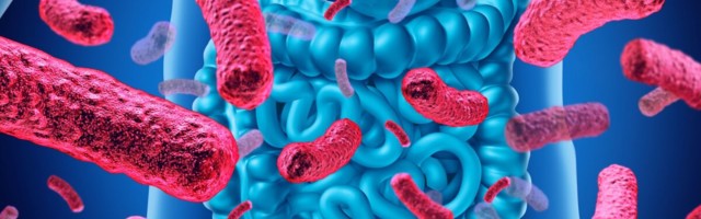 Muutused mikrobiootas võivad viidata diabeedile