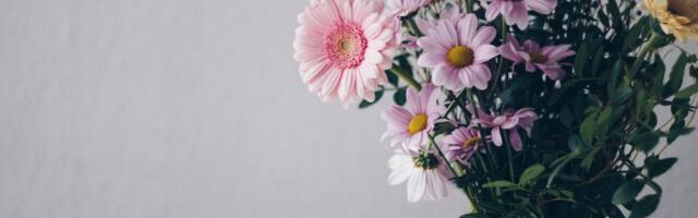 Peipsiääre valla finantsjuht on Sirje Koido