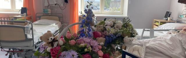 Rõõmus uudis: veel ühed nelikud!