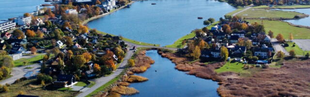 Inspektsioon kontrollib 22 ettevõtet