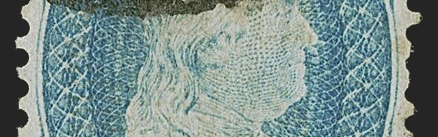 MARGIKUNINGAS ⟩ Miljardär pani oksjonile USA kallima margi