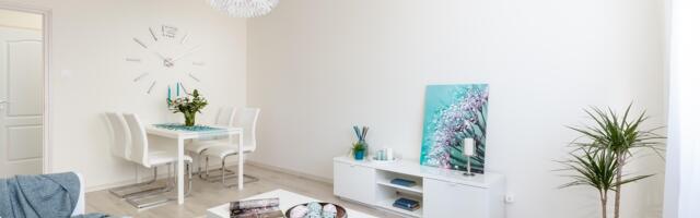 Milliseid kodusid noored endale ostavad?